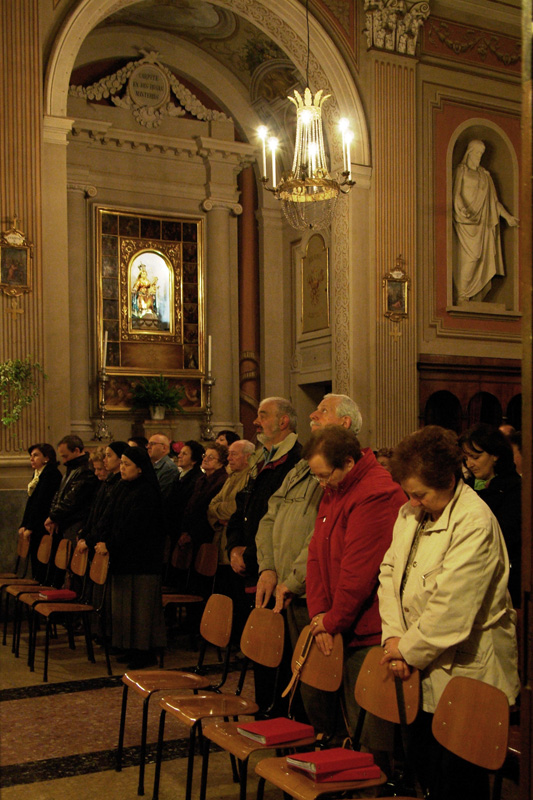 IMGP0550