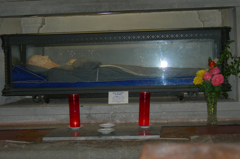 IMGP0817