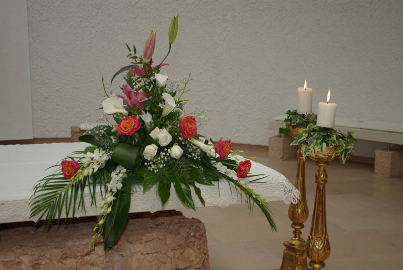 IMGP1475