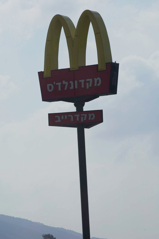 IMGP5441