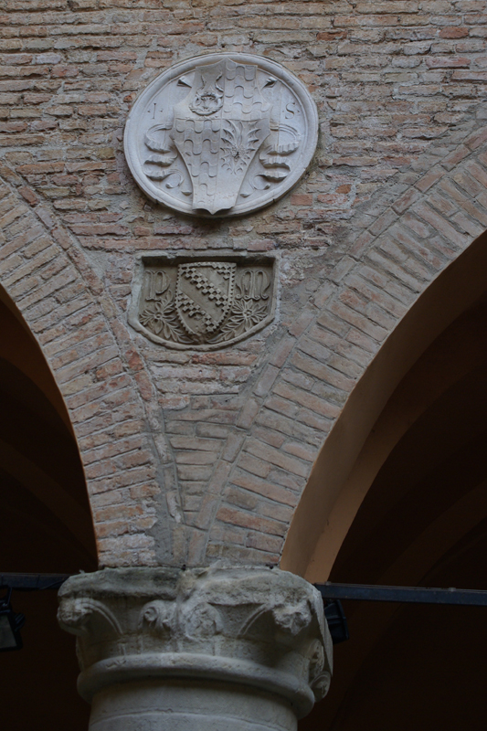 IMGP8142