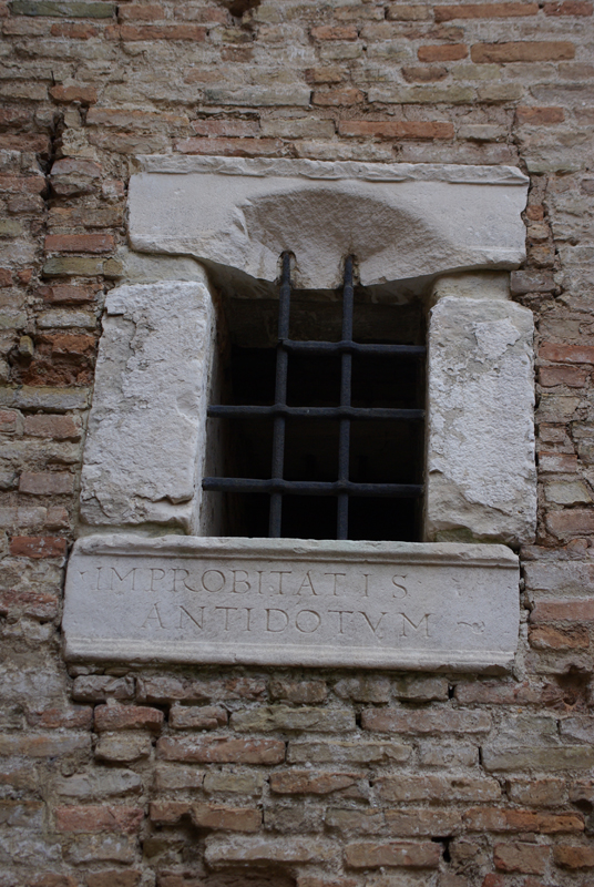 IMGP8143