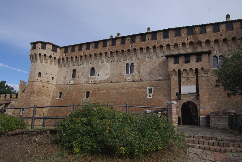 IMGP8163
