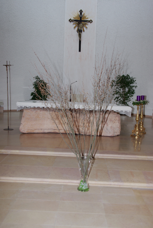 IMGP1567