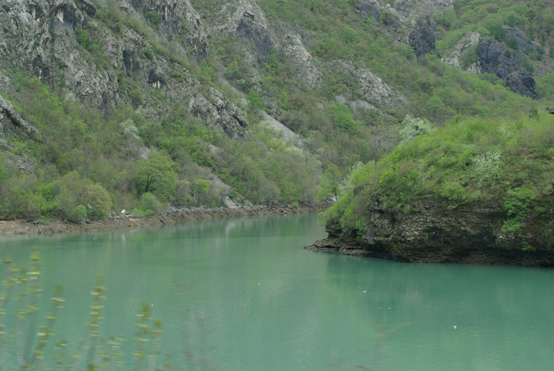 IMGP2647
