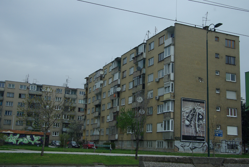 IMGP2692