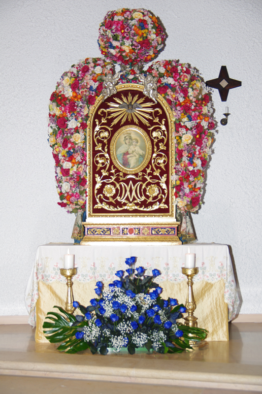 IMGP3896