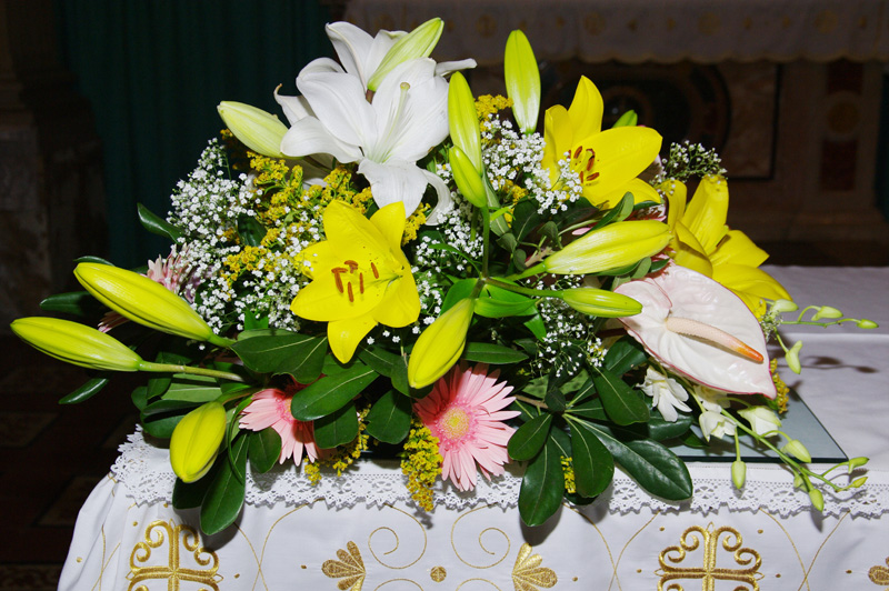IMGP8061