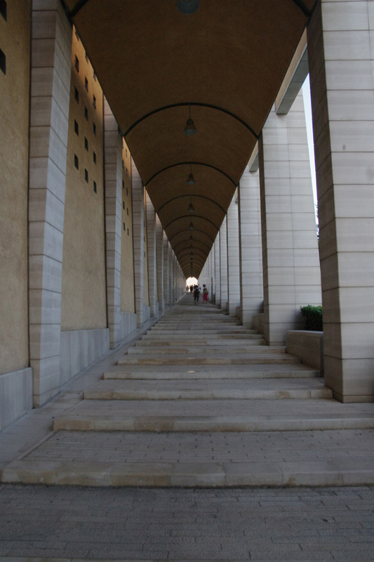 IMGP3764