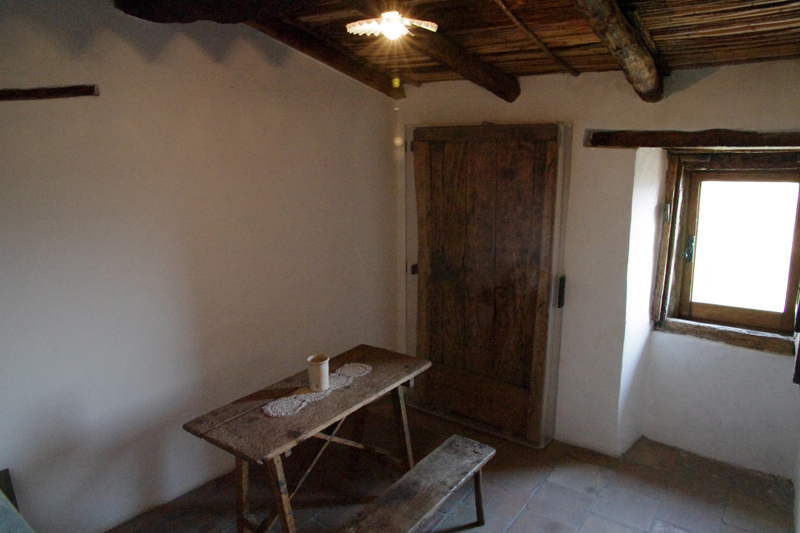 IMGP3798