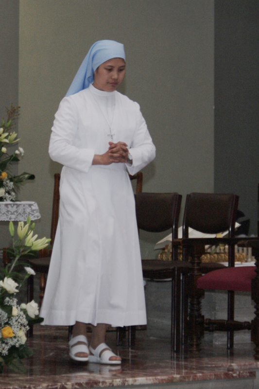 IMGP6554