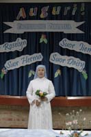IMGP6685