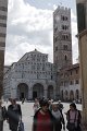 IMGP6843
