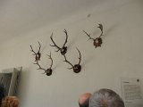 SAM_0572