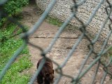 SAM_0613
