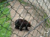 SAM_0614