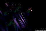_DSC8012