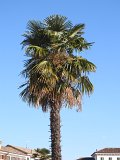 DSCN9628