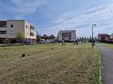 Piantumazione2025_09