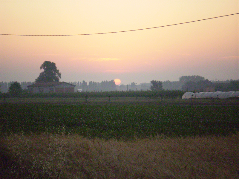 P6130020