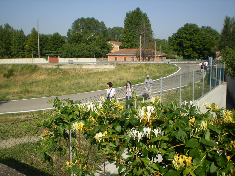 P6130057