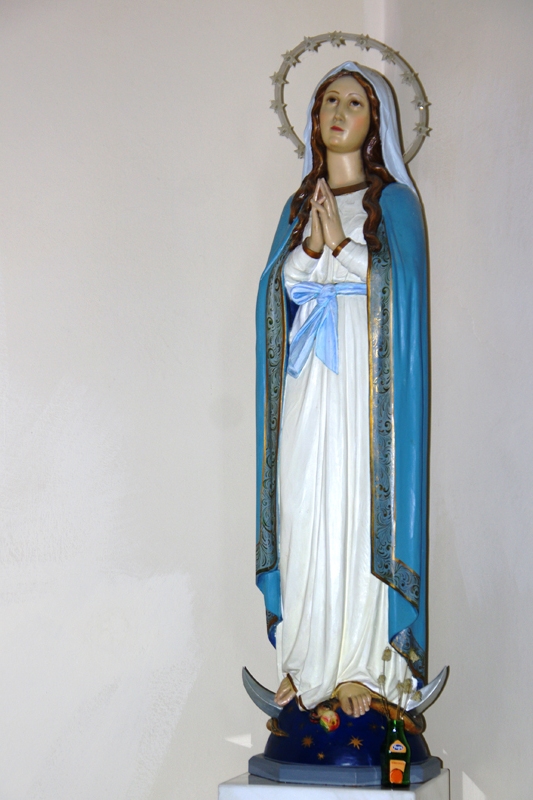 IMGP0219