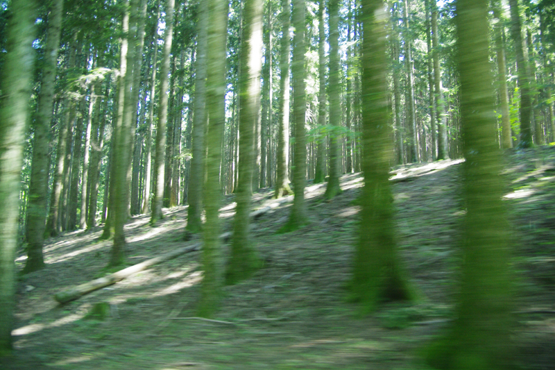 IMGP1056