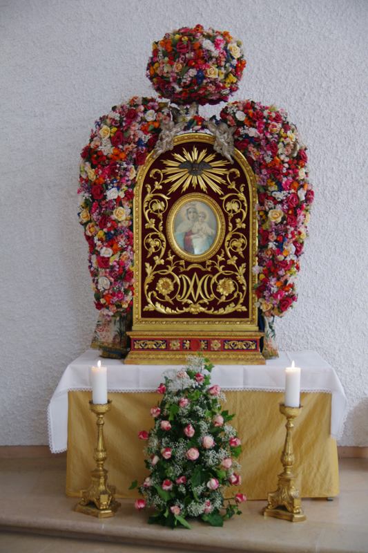 IMGP1546
