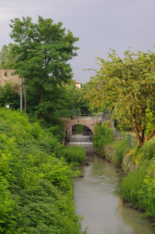 IMGP9597
