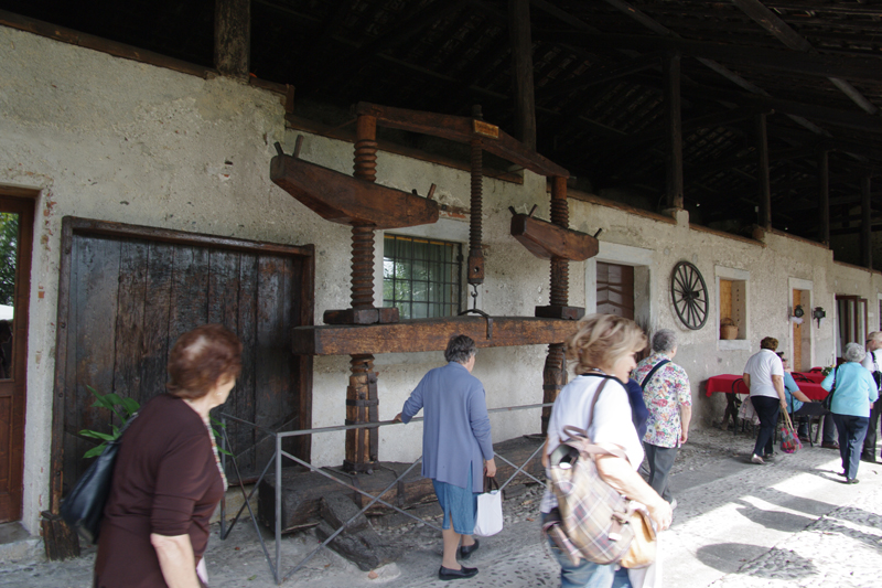 IMGP3896