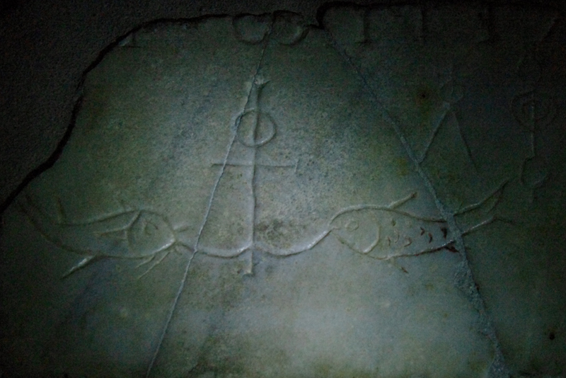 IMGP4524