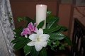 IMGP1494