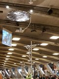 IMG_8810