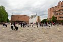 _MG_2342