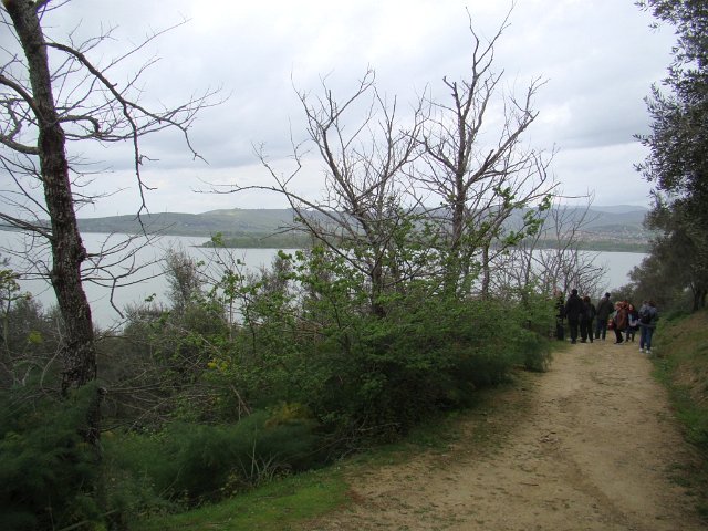 DSC04171