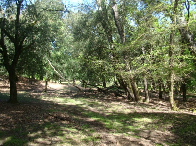 IMGP0119