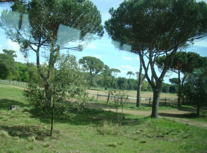 IMGP0120