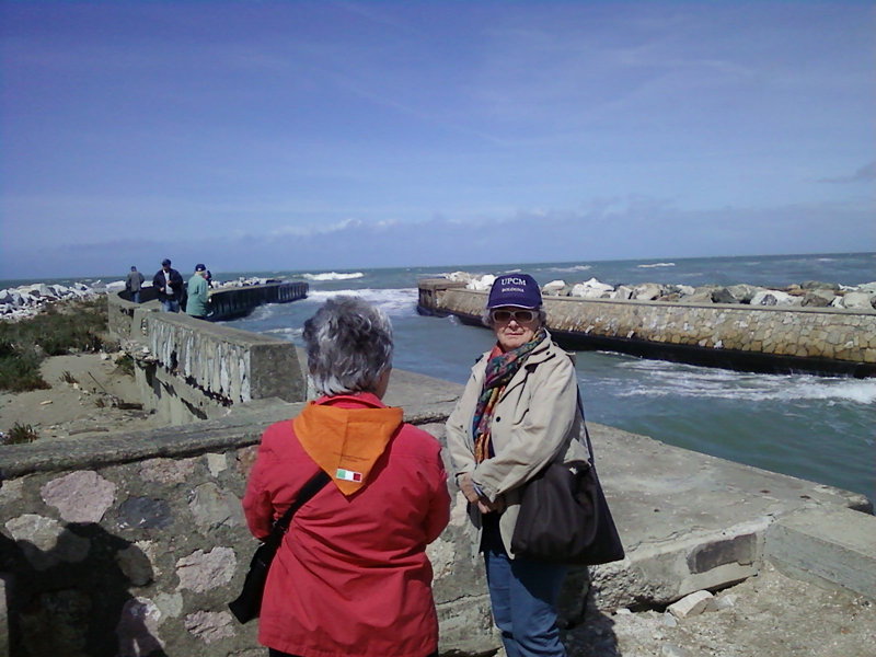 IMGP0124