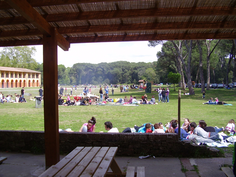 IMGP0128