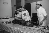 _DSC7294
