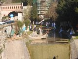 DSCN4681a