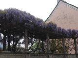 DSCN4831