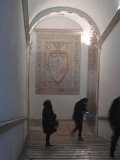 DSCN7219