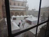 DSCN7264