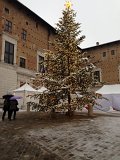 DSCN7284a