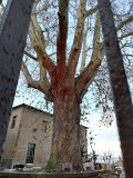 DSCN7288c