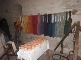 DSCN7303