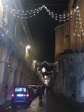 DSCN7331