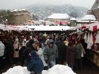 clicca sulla foto per ingrandirla