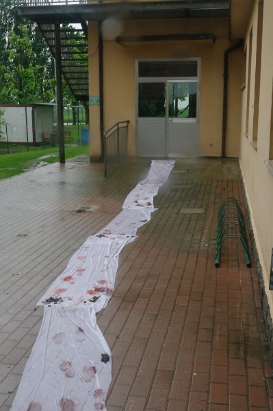 IMGP3022